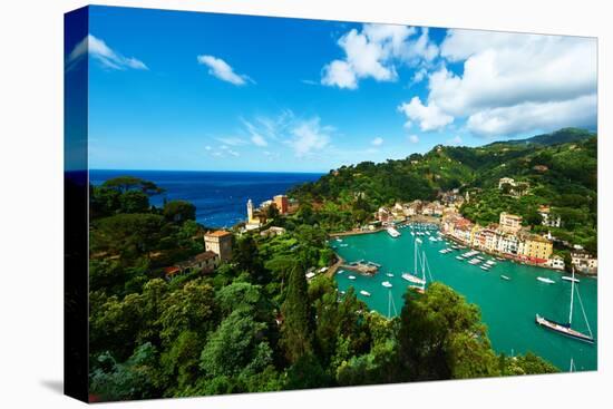 Portofino Village on Ligurian Coast in Italy-haveseen-Premier Image Canvas