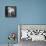 Portrait of a Boxer Dog and Golden Labrador Dog-null-Premier Image Canvas displayed on a wall