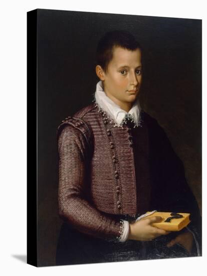 Portrait of a Boy Holding a Book (Oil on Lindenwood Panel)-Italian School-Premier Image Canvas