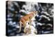 Portrait of a Cougar, Mountain Lion, Puma, Panther, Striking a Pose on a Fallen Tree, Winter Scene-Baranov E-Premier Image Canvas