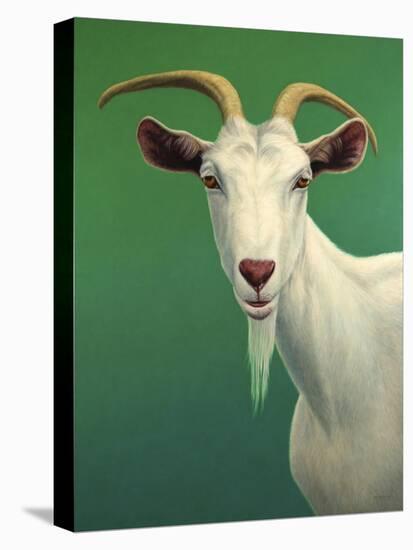 Portrait of a Goat-James W. Johnson-Premier Image Canvas