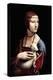 Portrait of a Lady with an Ermine-Leonardo da Vinci-Stretched Canvas