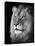 Portrait Of A Lion In Black And White-Reinhold Leitner-Premier Image Canvas