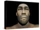 Portrait of a Male Homo Erectus-null-Stretched Canvas