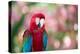 Portrait of a Red and Green Macaw-Alex Saberi-Premier Image Canvas