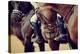 Portrait of a Sports Stallion. Riding on a Horse. Thoroughbred Horse. Beautiful Horse.-Elya Vatel-Premier Image Canvas