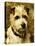 Portrait of a Terrier: Darkie, 1903-John Emms-Premier Image Canvas