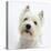 Portrait of a West Highland White Terrier-Mark Taylor-Premier Image Canvas