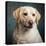 Portrait of a Yellow Labrador Dog-null-Premier Image Canvas