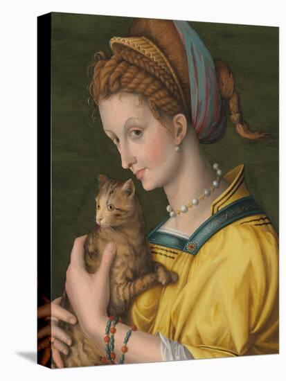 Portrait of a Young Lady Holding a Cat-Francesco Ubertini Verdi Bachiacca-Premier Image Canvas