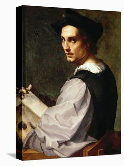 Portrait of a Young Man, 1517-Andrea del Sarto-Premier Image Canvas