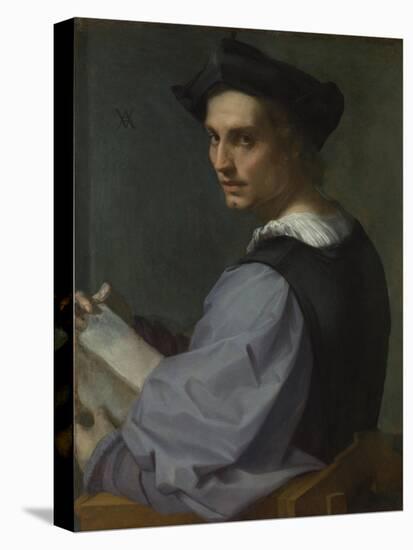 Portrait of a Young Man, Ca 1518-Andrea del Sarto-Premier Image Canvas