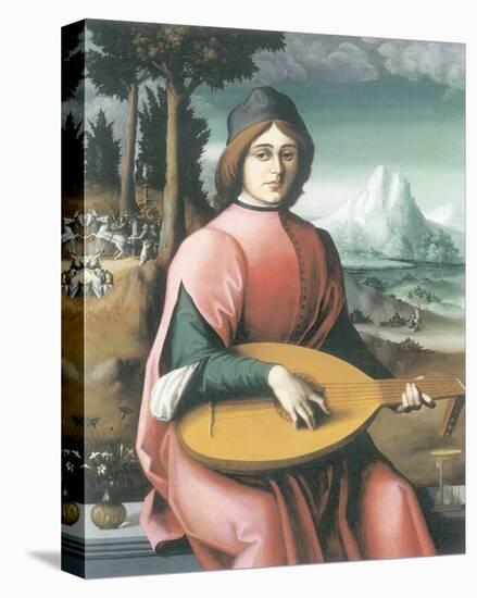 Portrait Of A Young Man With A Lute (Allegory Of Youth And Love)-Francesco Ubertini Bacchiacca-Stretched Canvas