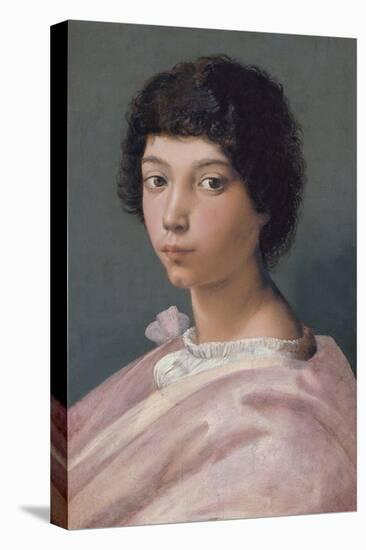 Portrait of a Young Man-Raphael-Premier Image Canvas