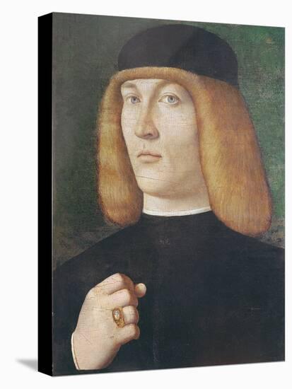 Portrait of a Young Man-Gentile Bellini-Premier Image Canvas