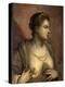 Portrait of a Young Venetian Woman Baring Her Breasts-Jacopo Robusti Tintoretto-Premier Image Canvas