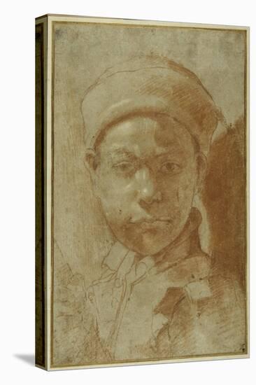 Portrait of a Youth, Bust-Length, Wearing a Round Cap-Annibale Carracci-Premier Image Canvas