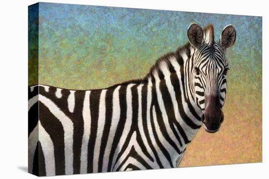 Portrait Of A Zebra-James W Johnson-Premier Image Canvas