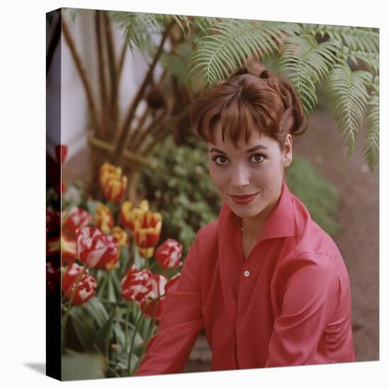 Portrait of Actress Elsa Martinelli-Ralph Crane-Premier Image Canvas