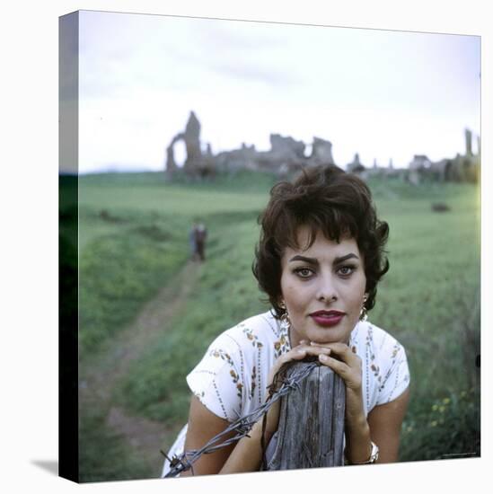 Portrait of Actress Sophia Loren-Loomis Dean-Premier Image Canvas