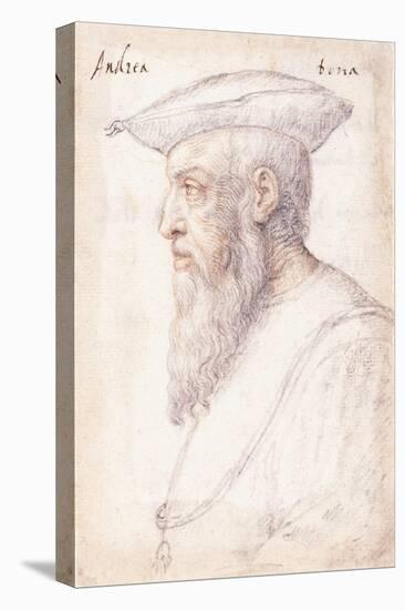 Portrait of Andrea Doria in Profile to the Left-Federico Zuccaro-Premier Image Canvas