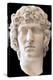 Portrait of Antinous, Between 130 and 138 Ad, Found in Villa Adriana, National Museum of Rome-null-Premier Image Canvas