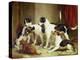 Portrait of Favorite Foxhounds-Thomas Woodward-Premier Image Canvas