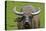 Portrait of Feral Water Buffalo, Hong Kong, China-Richard Wright-Premier Image Canvas