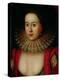 Portrait of Frances Howard (1590-1632) Countess of Somerset, circa 1615-William Larkin-Premier Image Canvas