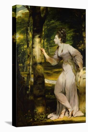 Portrait of Joanna Lloyd of Maryland-Joshua Reynolds-Stretched Canvas