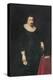Portrait of Lord Baltimore-Daniel Mytens-Premier Image Canvas