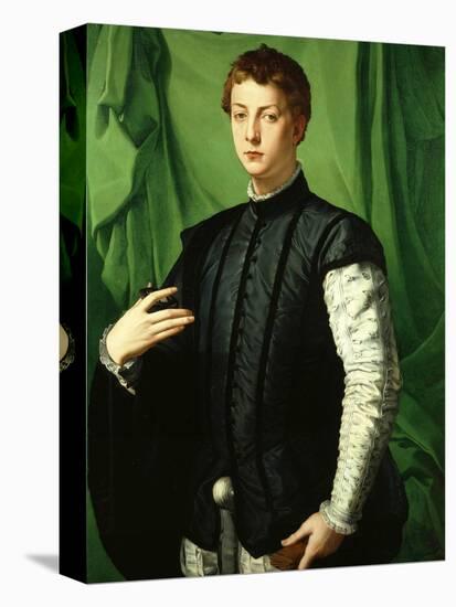 Portrait of Ludovico Capponi-Agnolo Bronzino-Premier Image Canvas