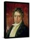 Portrait of Ludwig Van Beethoven (1770-1827)-null-Premier Image Canvas