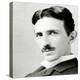 Portrait of Nikola Tesla, 1890 (Photo)-Napoleon Sarony-Premier Image Canvas