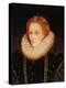 Portrait of Queen Elizabeth I (1533-1603)-Marcus Gheeraerts-Premier Image Canvas