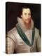 Portrait of Robert Devereux-Marcus, The Younger Gheeraerts-Premier Image Canvas