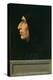 Portrait of Savonarola-Fra Bartolommeo-Premier Image Canvas