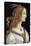 Portrait of Simonetta Vespucci as a Nymph by Sandro Botticelli-null-Premier Image Canvas