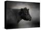 Portrait of the Black Angus-Jai Johnson-Premier Image Canvas