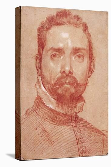 Portrait of the Lute Player Giulio Mascheroni, 1594 (Painting)-Annibale Carracci-Premier Image Canvas