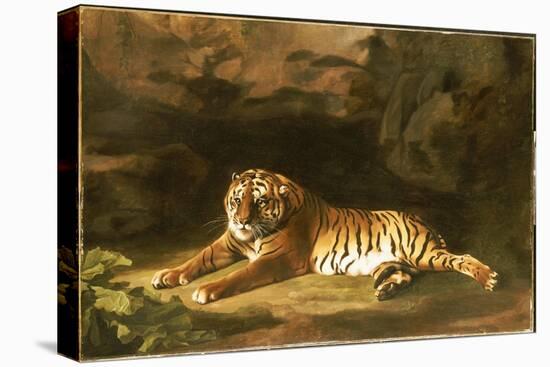 Portrait of the Royal Tiger, C.1770-George Stubbs-Premier Image Canvas