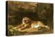 Portrait of the Royal Tiger, C.1770-George Stubbs-Premier Image Canvas