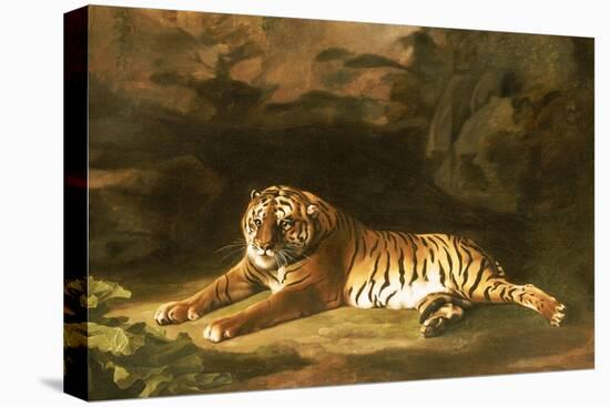 Portrait of the Royal Tiger, circa 1770-George Stubbs-Premier Image Canvas