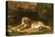 Portrait of the Royal Tiger, circa 1770-George Stubbs-Premier Image Canvas