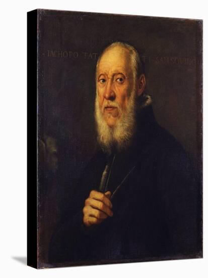 Portrait of the Sculptor Jacopo Sansovino (1486-157)-Jacopo Tintoretto-Premier Image Canvas