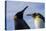 Portrait of two King penguins, Aptenodytes patagonica.-Sergio Pitamitz-Premier Image Canvas