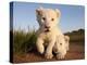 Portrait of Two White Lion Cub Siblings, One Laying Down and One with it's Paw Raised.-Karine Aigner-Premier Image Canvas