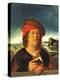 Portrait Presumed to be Paracelsus (1493-1541)-Quentin Metsys-Premier Image Canvas