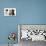 Portraits of Three Kittens-Mark Taylor-Premier Image Canvas displayed on a wall