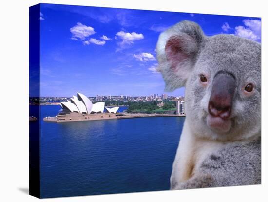 Portrayal of Opera House and Koala, Sydney, Australia-Bill Bachmann-Premier Image Canvas